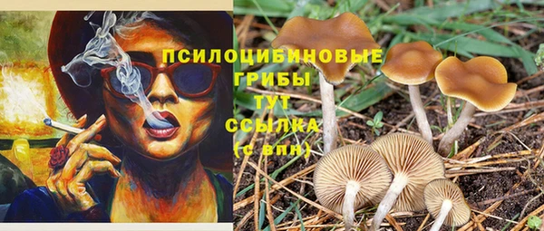 мдма Заволжск