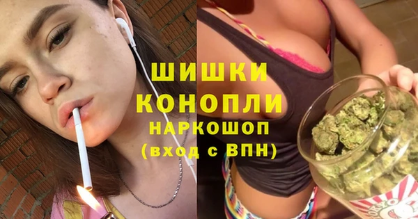 сатива Заводоуковск