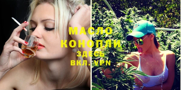 сатива Заводоуковск