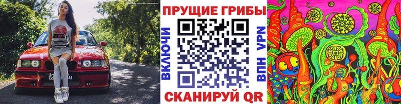 где купить   Углегорск  Псилоцибиновые грибы Magic Shrooms 